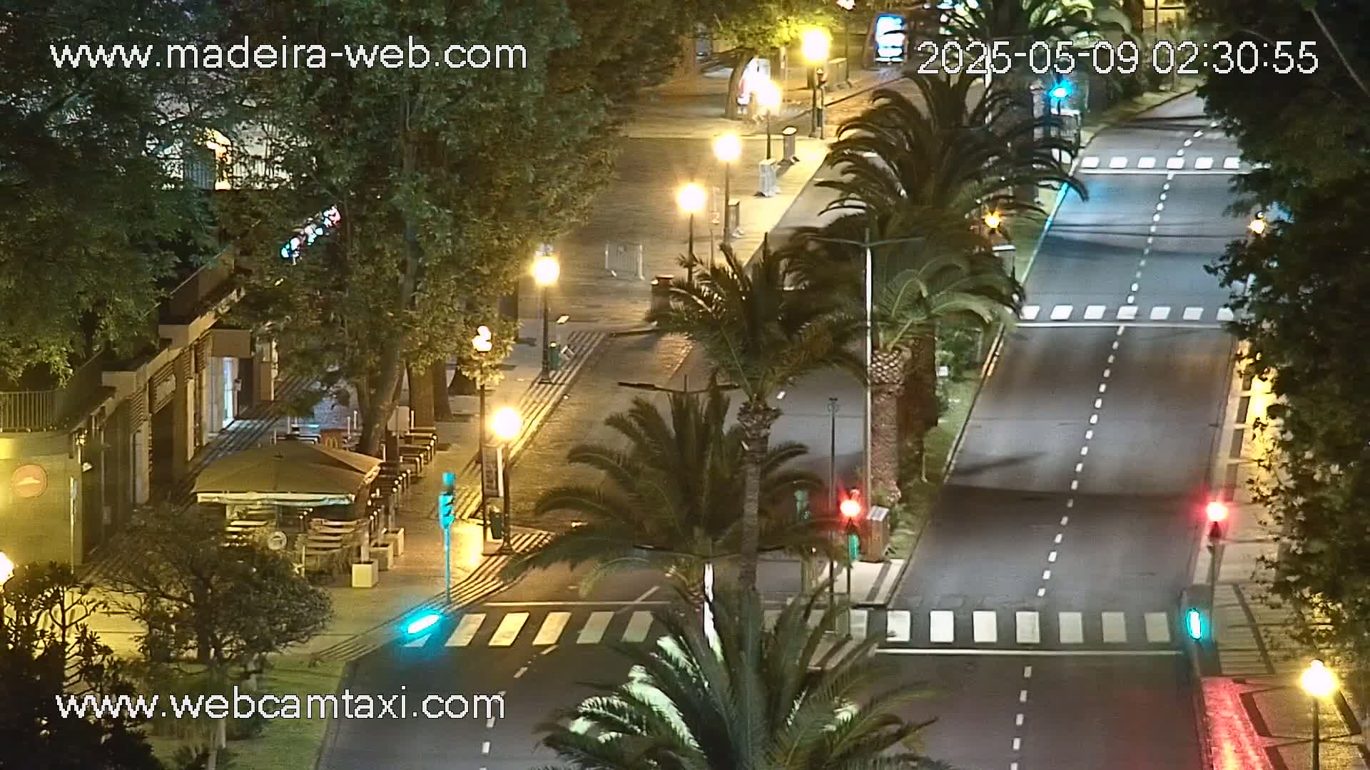 A nighttime street scene shows a mostly empty road with crosswalks, palm trees lining the sides, and streetlights illuminating the area.