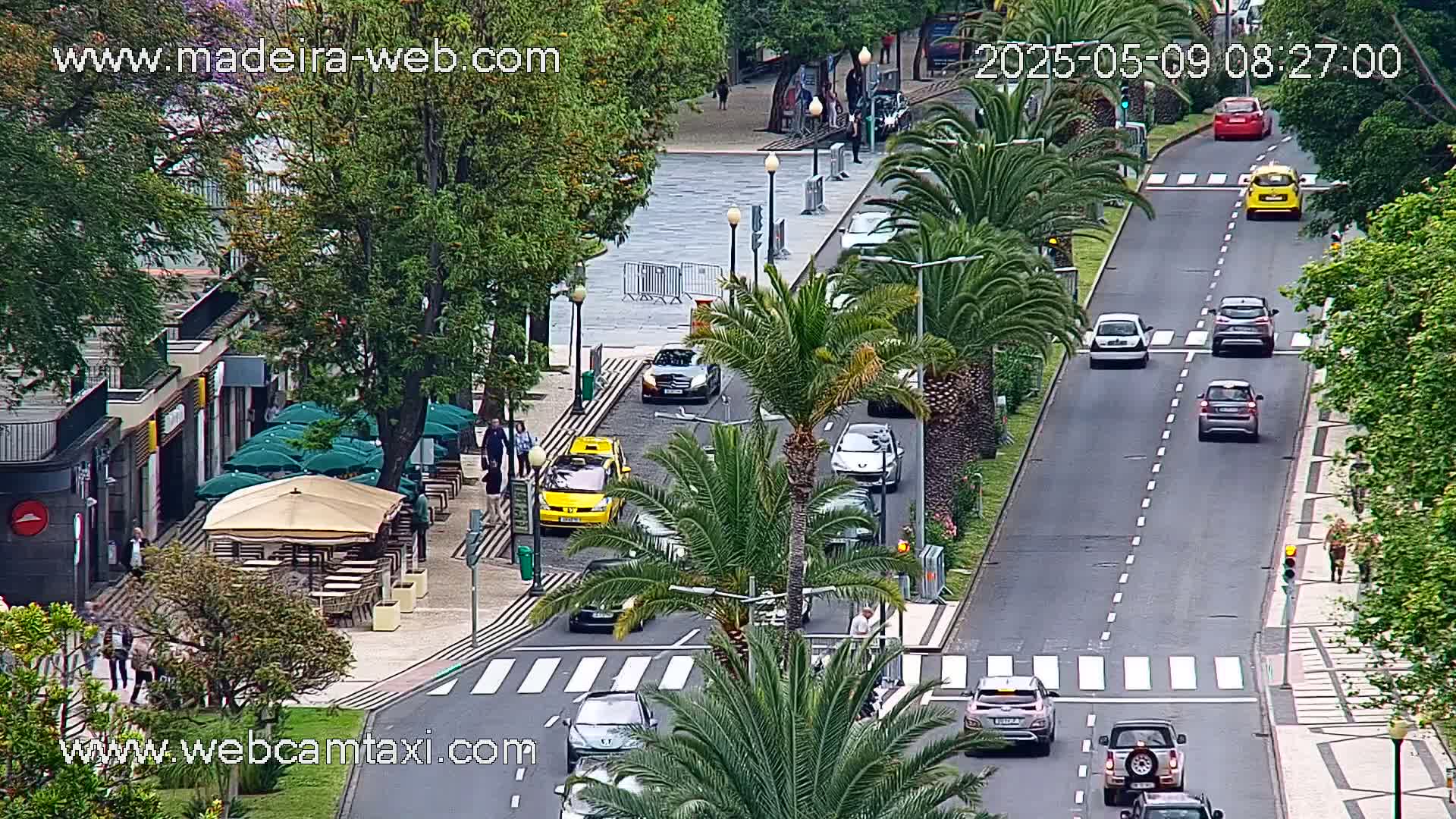 A street scene shows several cars driving on a roadway lined with palm trees and buildings with outdoor seating areas, under an overcast sky.