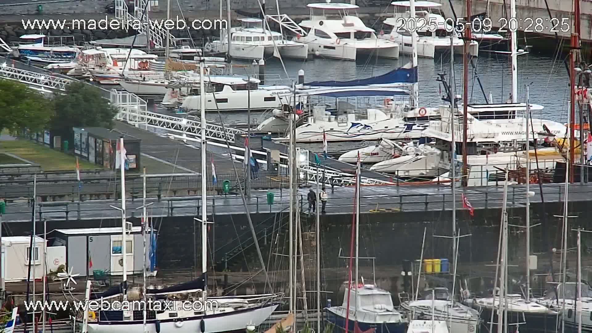 Many sailboats and motorboats are docked at a marina on a wet, overcast day.