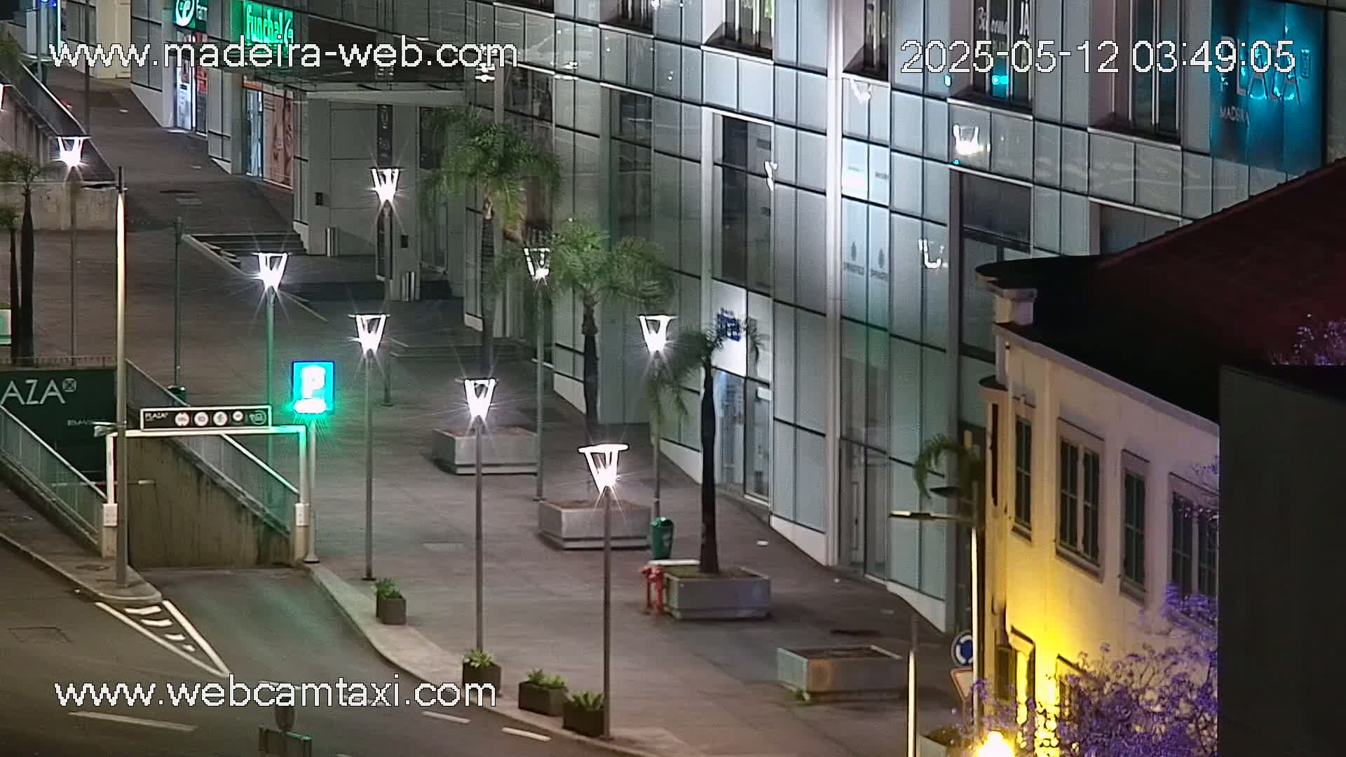 A nighttime street scene shows a modern building with glass storefronts and palm trees lining a paved walkway, next to an older building with yellow-lit windows.