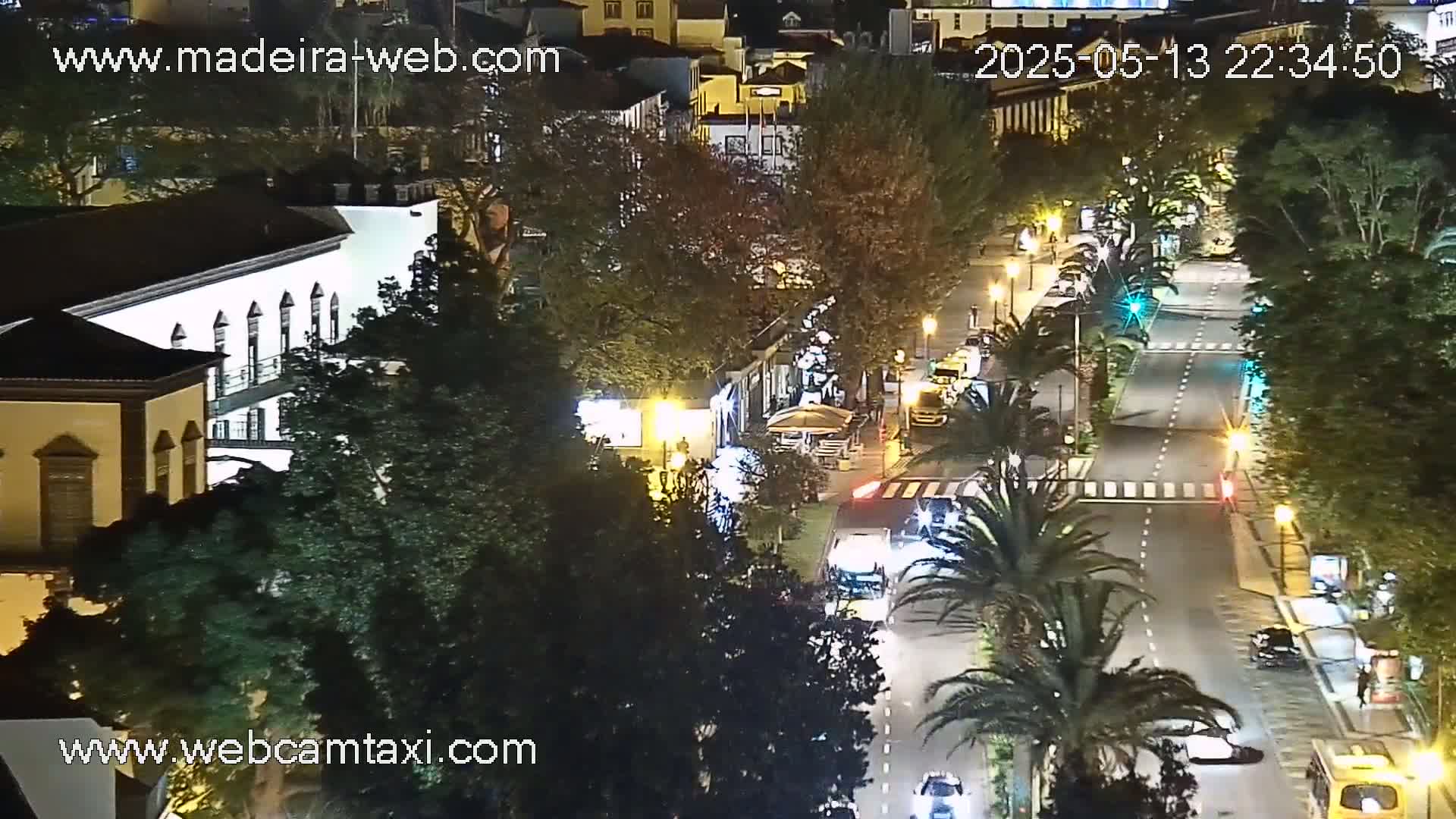 A nighttime, high-angle view of a city street with cars and pedestrians, lined with palm trees and buildings, under a clear sky.