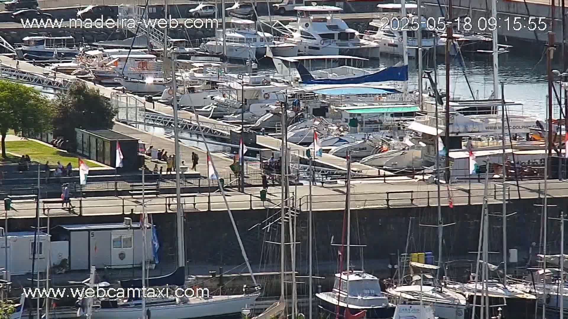 A marina filled with numerous boats and yachts on a sunny day, with people walking along a nearby paved area.