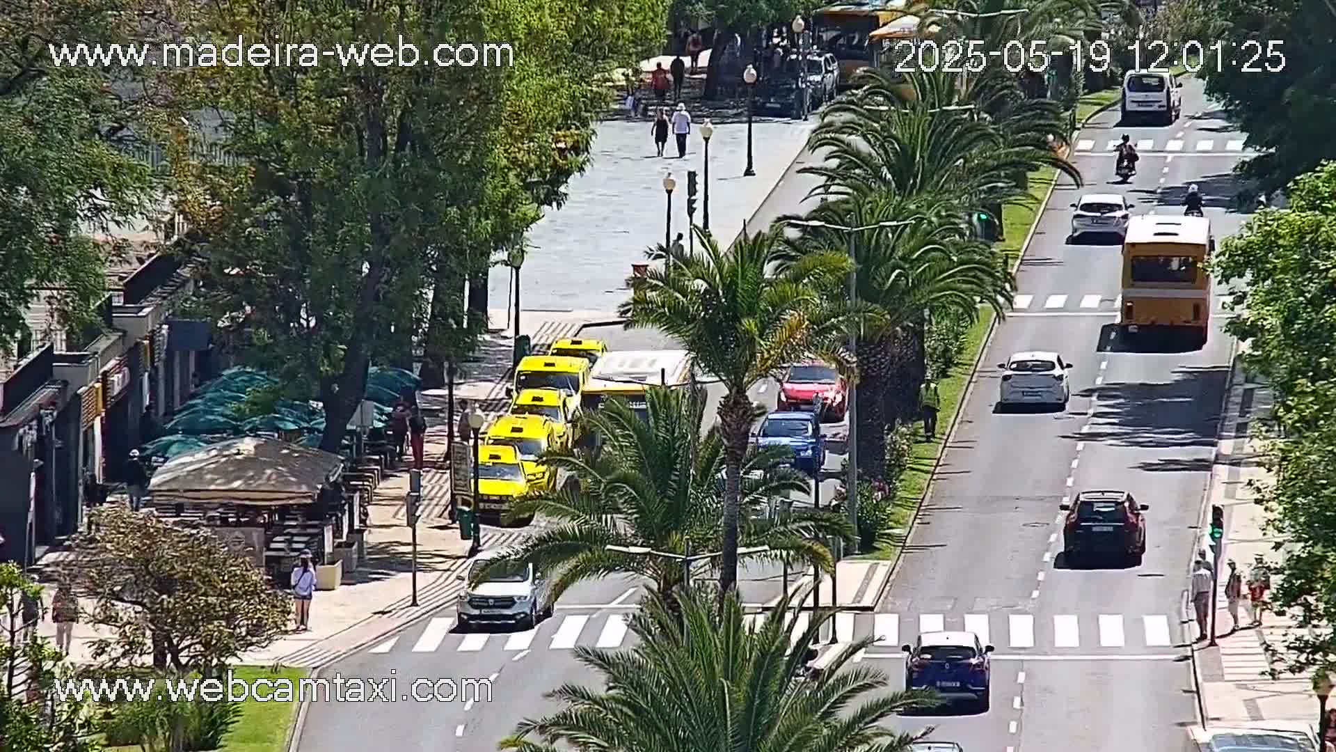 A sunny street scene shows several cars, taxis, and buses moving along a road lined with palm trees, with pedestrians walking on a sidewalk alongside shops and cafes.