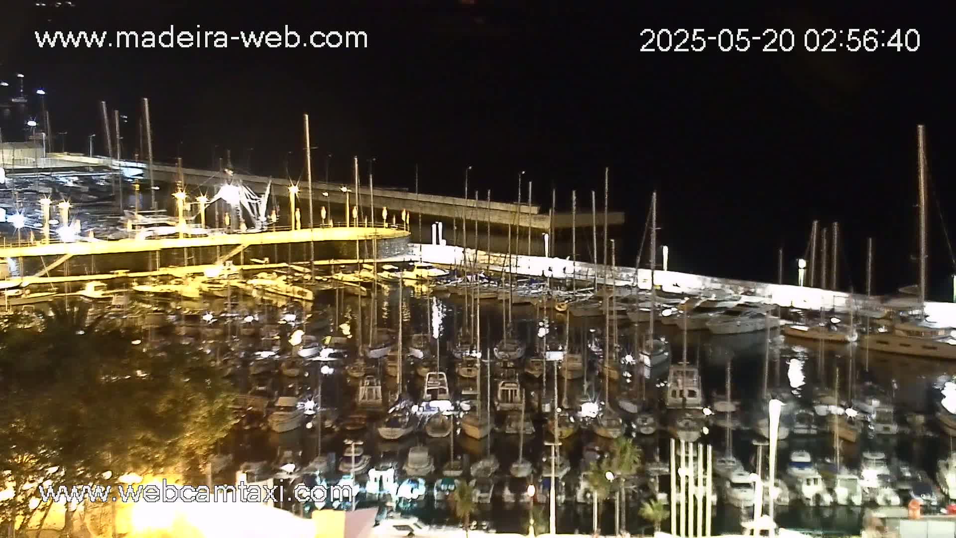 A marina filled with many boats is shown at night under a dark sky.