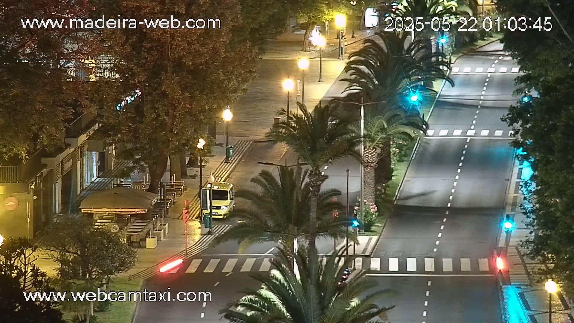 A mostly empty, palm tree-lined street at night, illuminated by streetlights, shows a vehicle stopped at a crosswalk.