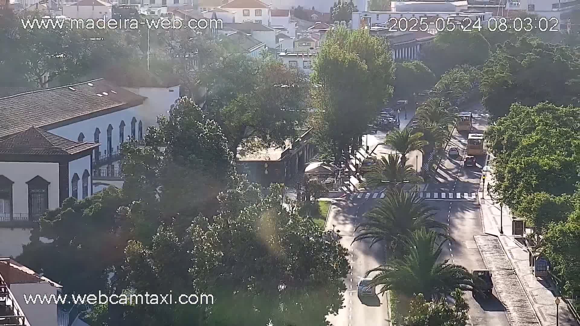 A sunny, high-angle view shows a tree-lined street with sparse traffic in a city, featuring a long, white building and other structures.