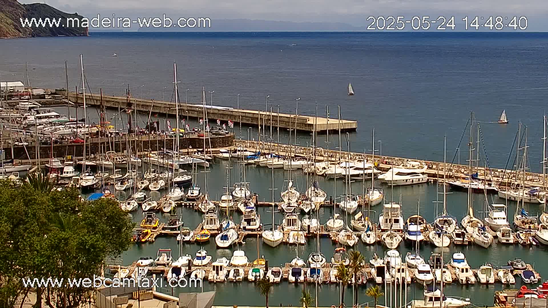 A marina filled with numerous sailboats and motorboats is situated on calm, dark-blue water near a mountainous coastline under a mostly clear sky.