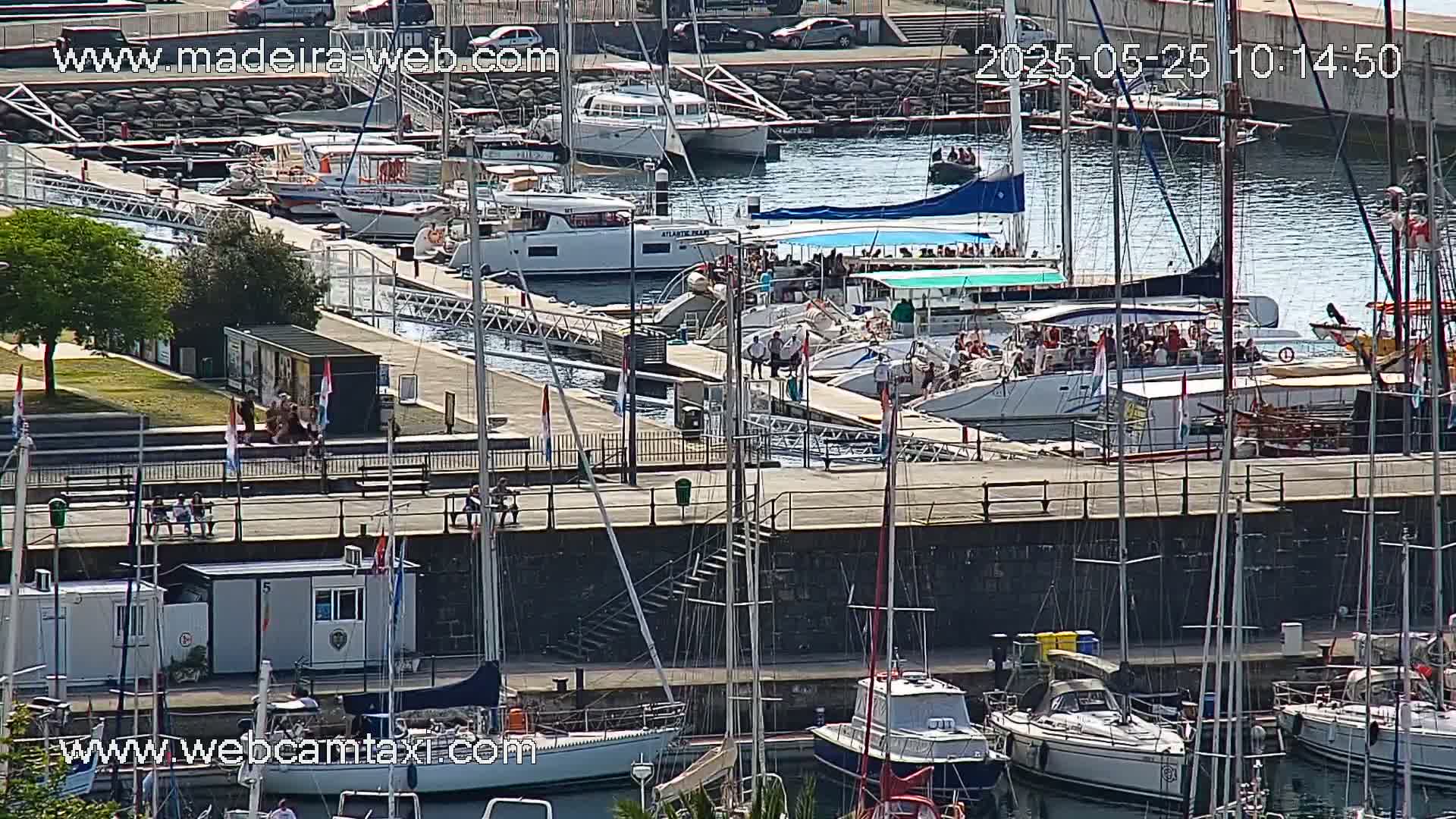 A sunny day at a marina shows many boats docked, some with passengers, along a walkway with people walking.