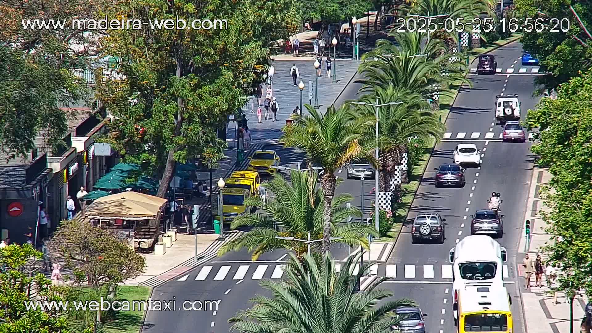 A sunny street scene shows a roadway with several vehicles, pedestrians, and palm trees lining the sidewalks, with shops and buildings visible along one side.