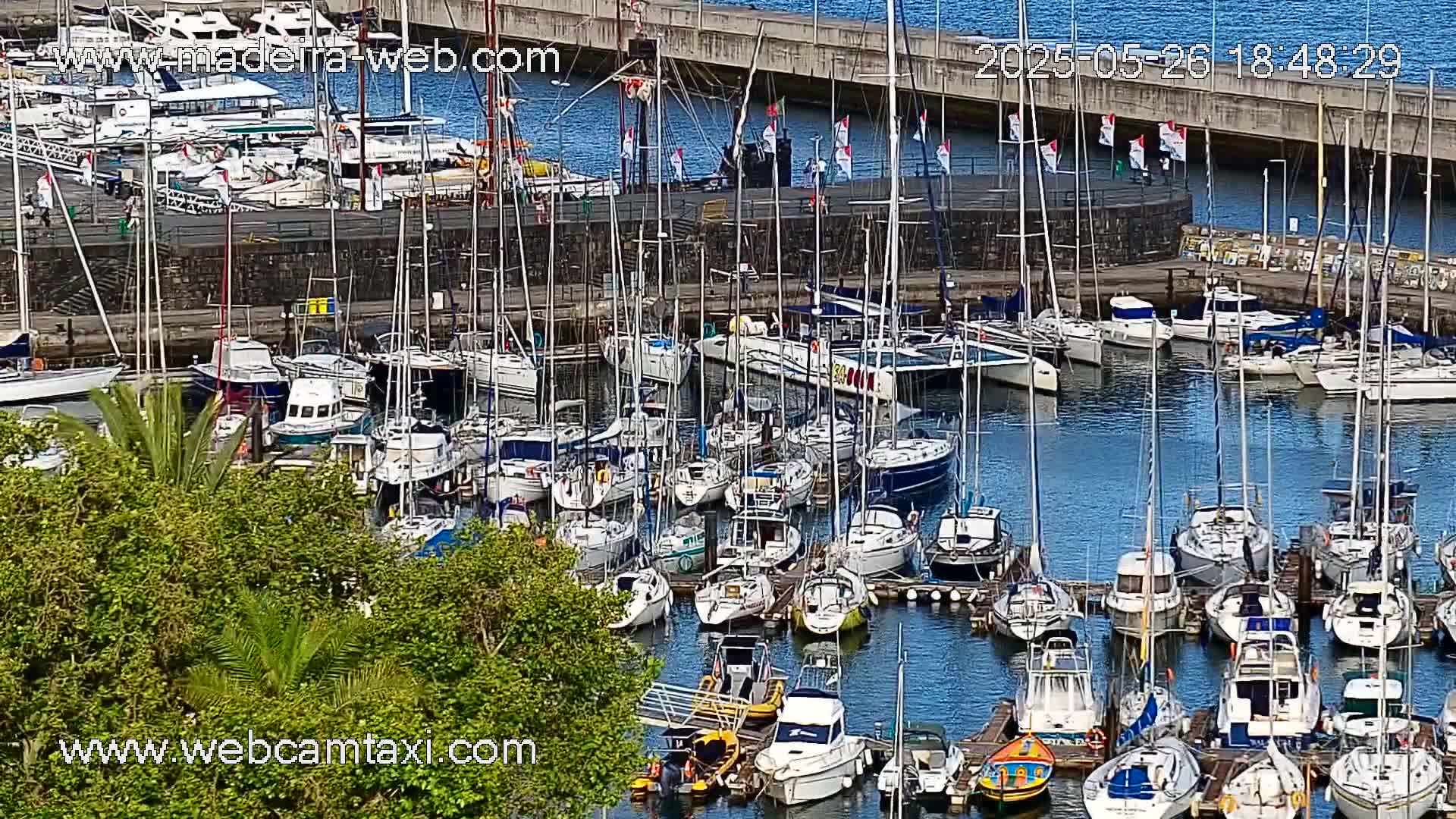 A harbor filled with numerous sailboats and motorboats on a calm, sunny day.