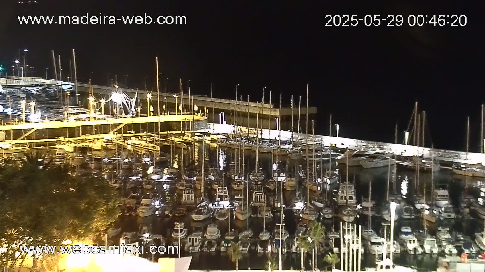A marina filled with numerous boats is illuminated at night.