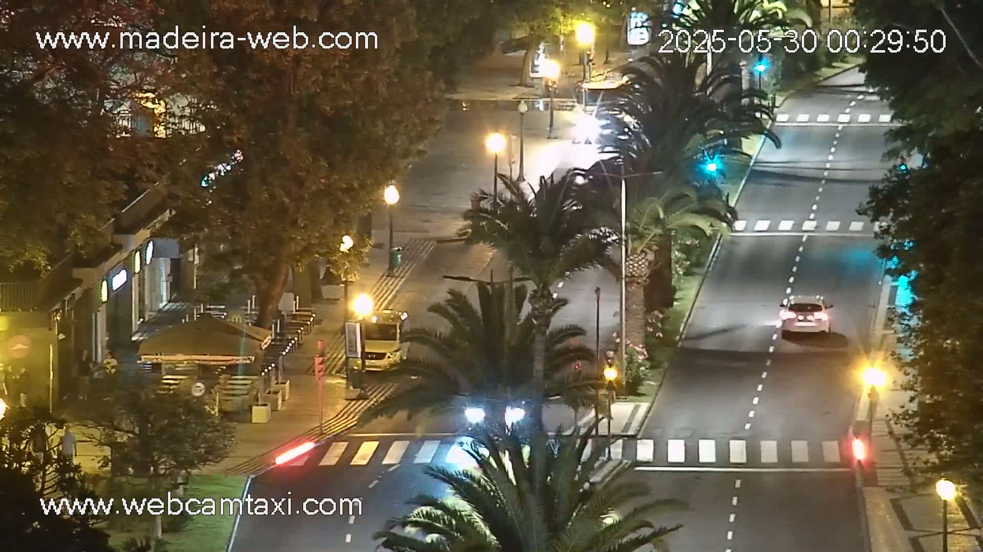 A nighttime street scene shows a two-lane road with crosswalks, palm trees lining the sides, and a few cars driving; streetlights illuminate the area.