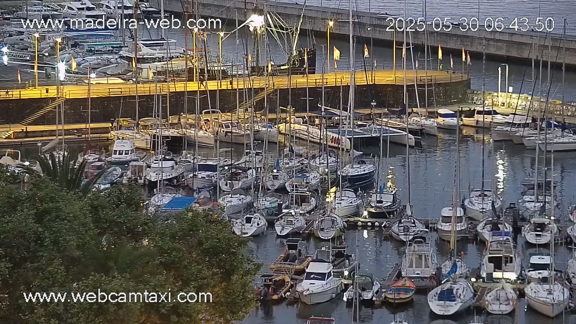 Many sailboats and motorboats are docked in a marina at twilight.
