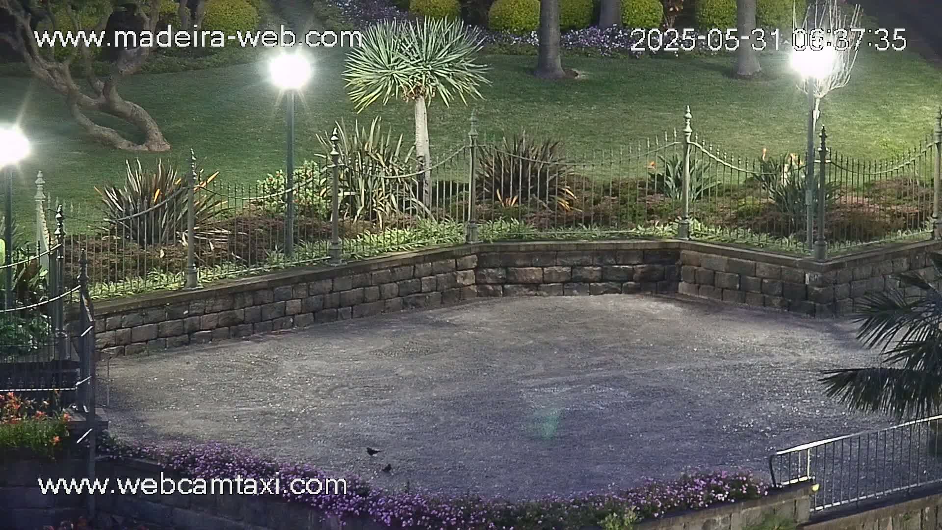A nighttime view of a paved area bordered by a low stone wall and iron fencing, surrounding a garden with various plants and trees under artificial light.