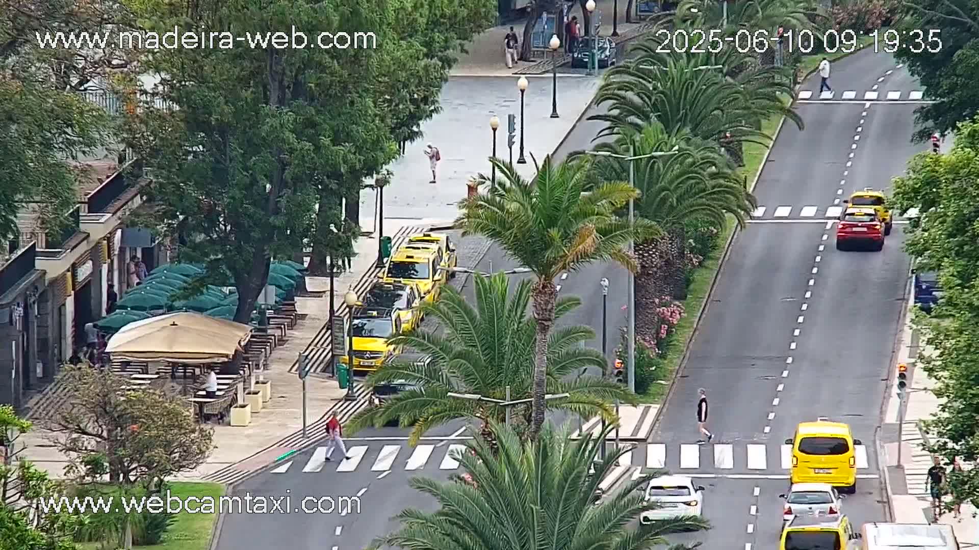 A street scene shows several yellow taxis parked and driving on a paved road lined with palm trees, a pedestrian crossing, and outdoor seating at a cafe under an awning.