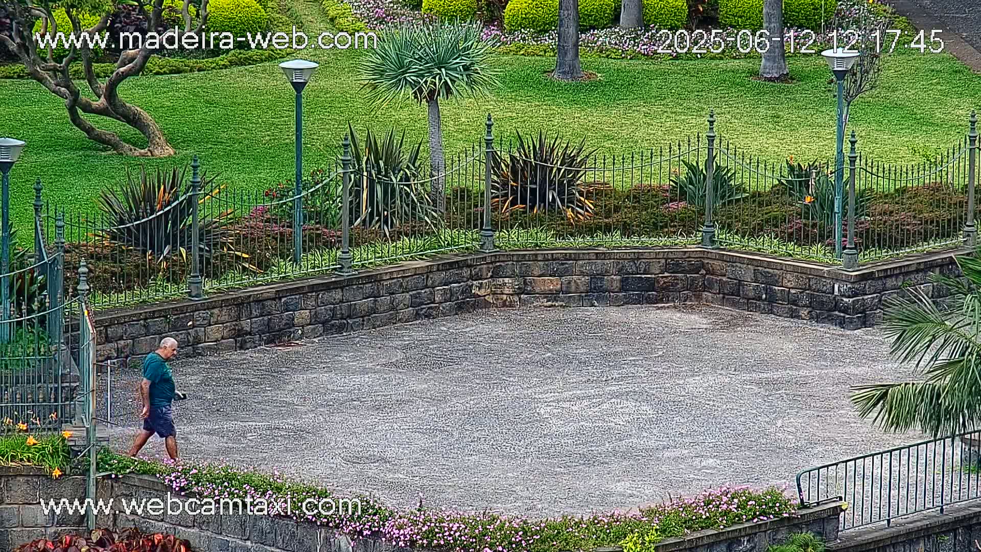 A man walks across a paved area within a landscaped garden, which is enclosed by a low stone wall and iron fencing, on a slightly overcast day.