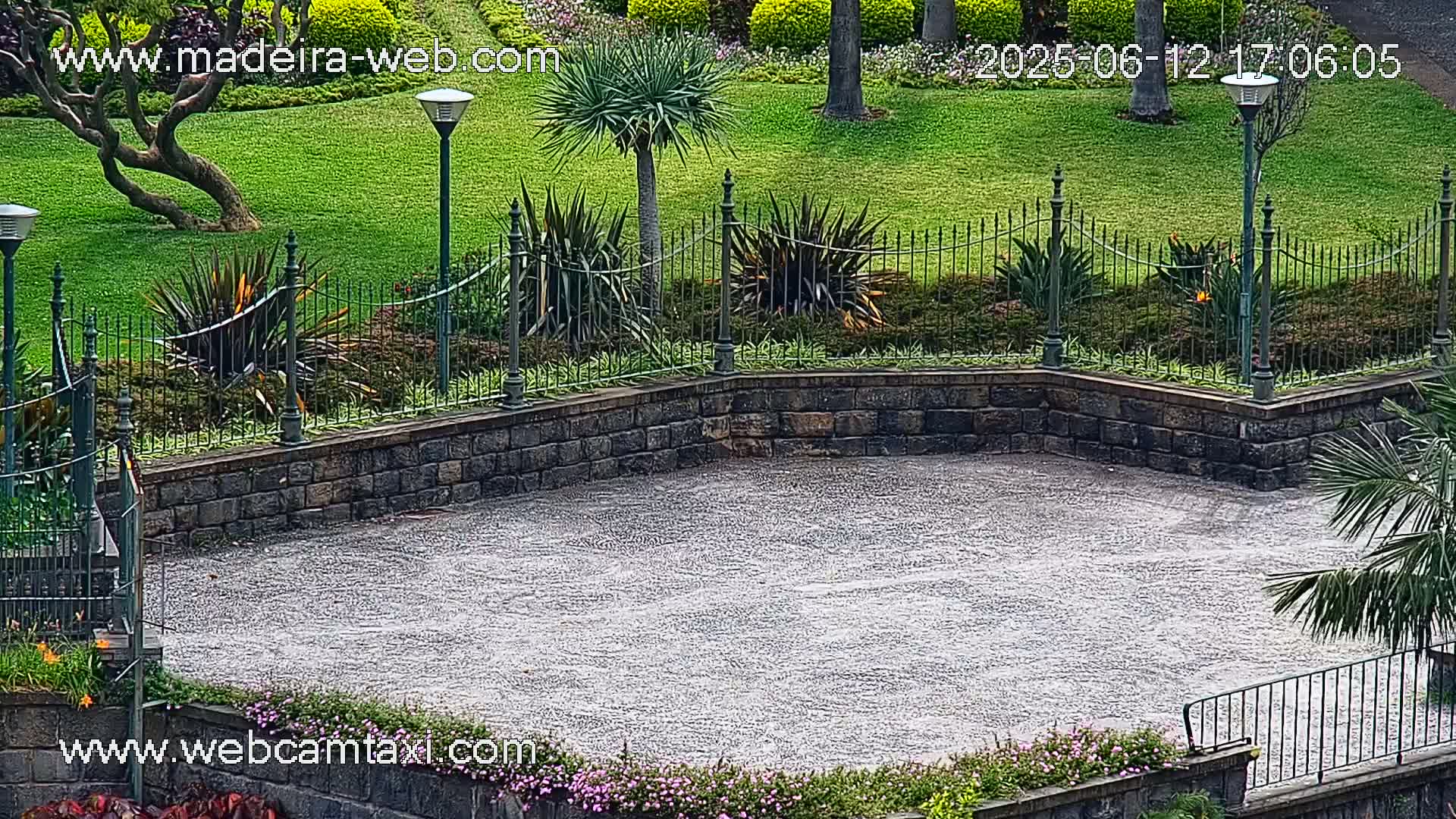 A wet, empty paved area is surrounded by a low stone wall and a wrought-iron fence separating it from a lush green lawn with various plants and palm trees.