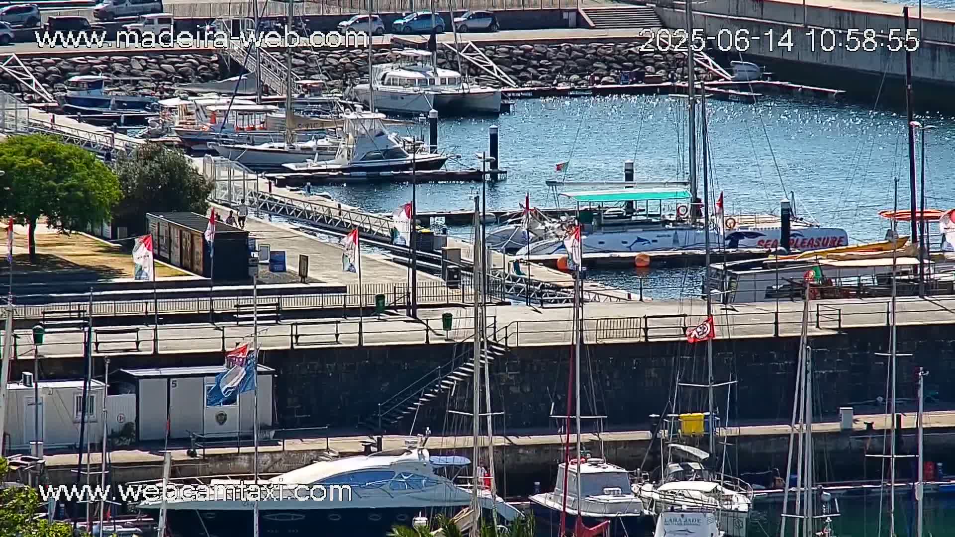 A marina filled with numerous boats and yachts on a sunny day.