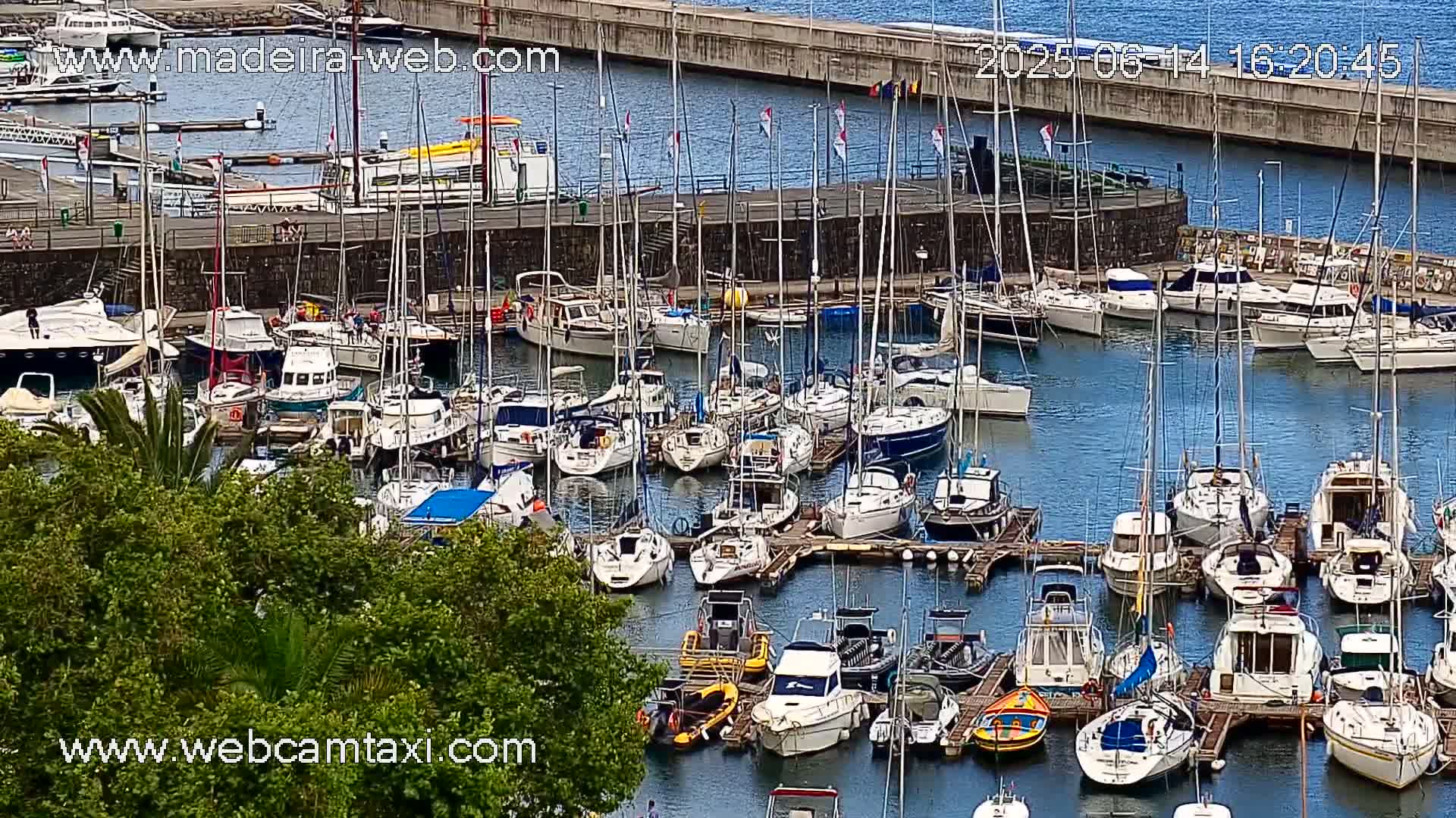 A harbor filled with numerous sailboats and motorboats on a sunny day.