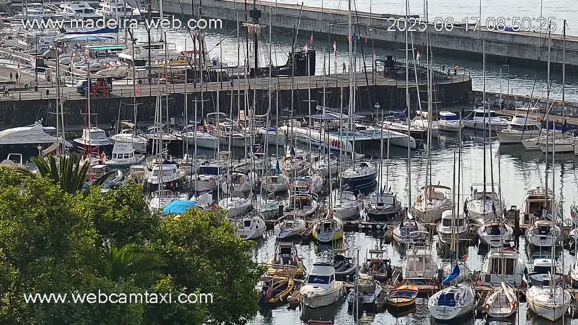 A marina filled with numerous sailboats and motorboats is seen from an elevated viewpoint on a calm, sunny day.