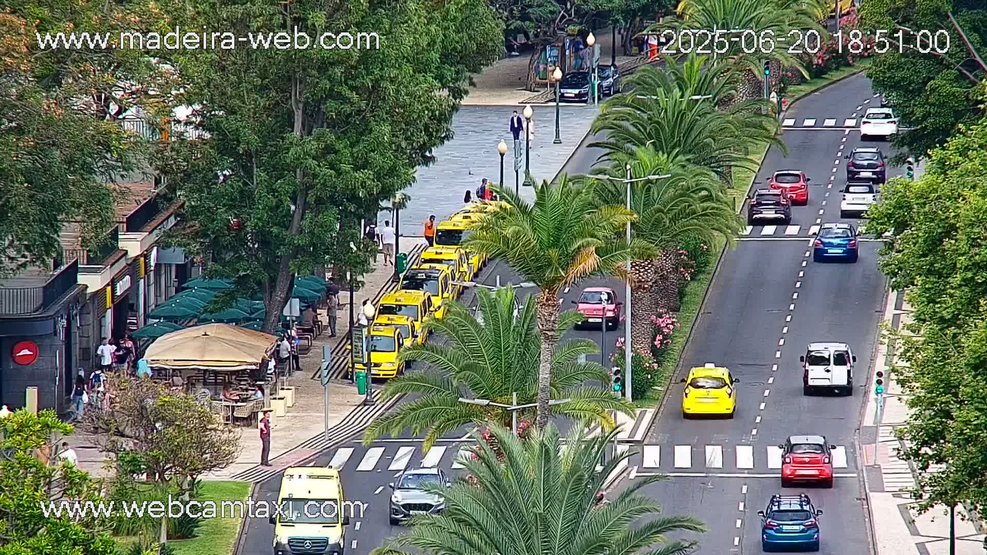 A street scene shows a line of yellow taxis parked along a roadway lined with palm trees, with various other cars driving on the road and pedestrians walking on the sidewalks, under a mostly sunny sky.