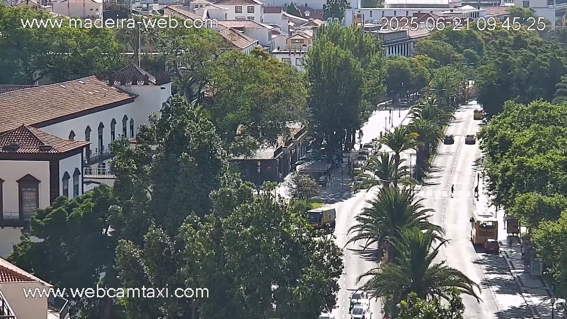 A sunny day reveals a long city street lined with palm trees and buildings, with some vehicles and pedestrians visible.
