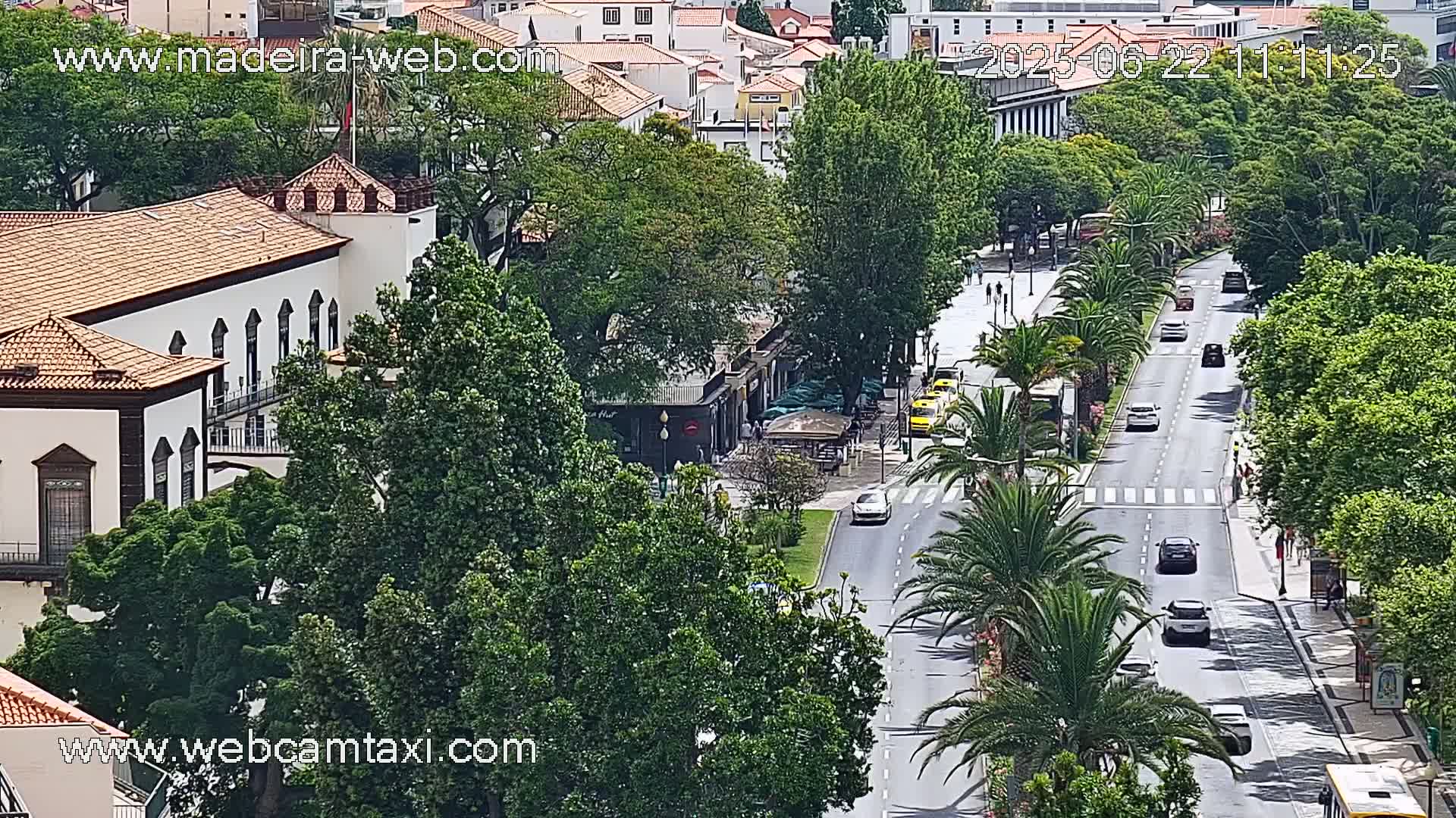 A sunny day reveals a high-angle view of a city street lined with palm trees and lush green trees, with cars driving along the road and a large white building with a red-tiled roof visible in the background.