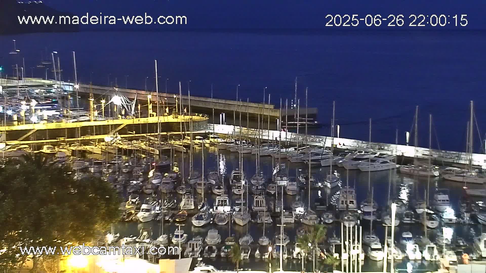 Many boats are docked in a marina at night under a dark blue sky.