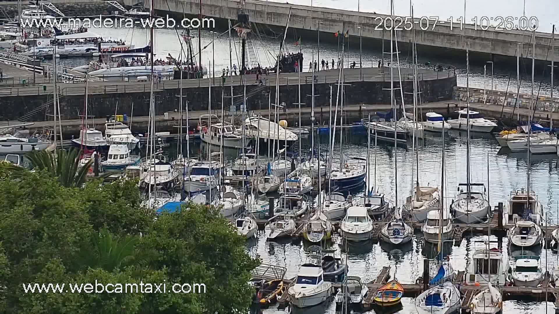 Funchal Coast Live Cam - Funchal, Madeira, Portugal