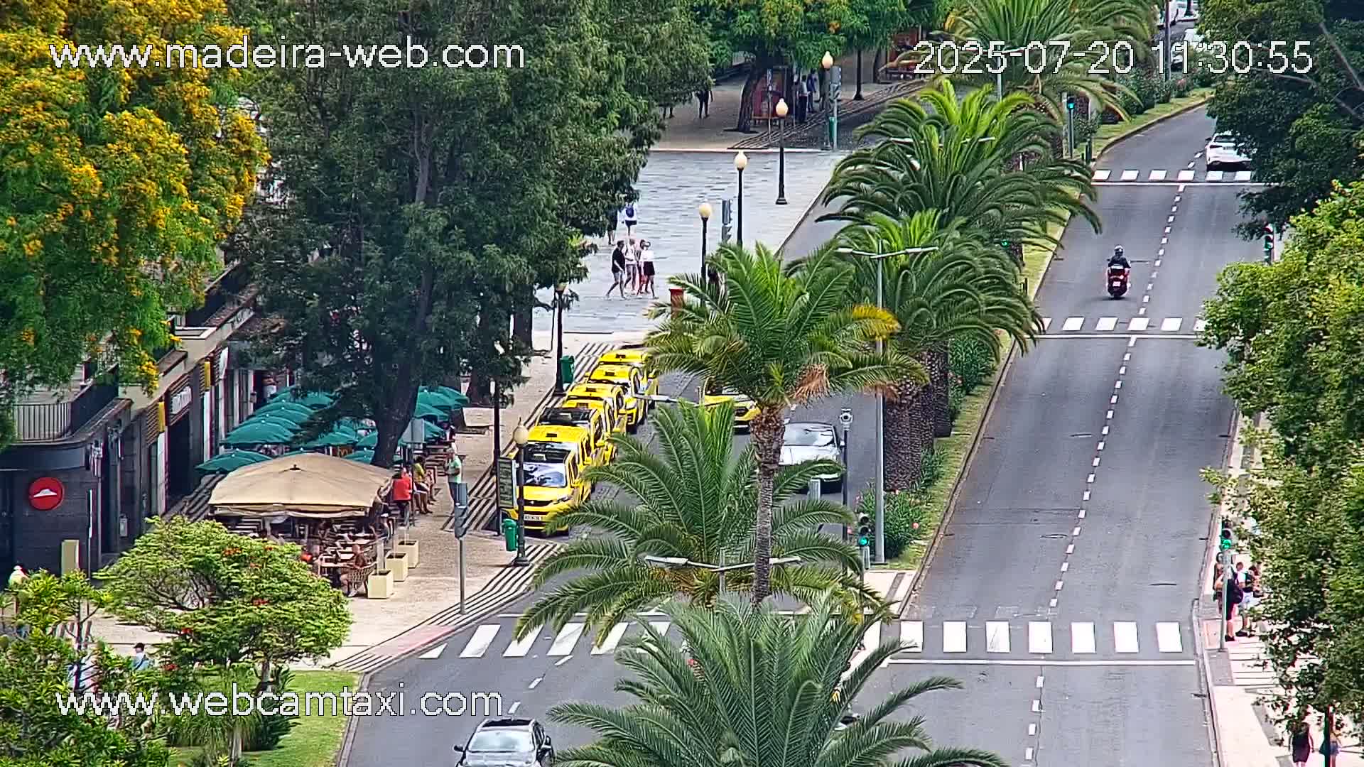 Funchal Coast Live Cam - Funchal, Madeira, Portugal