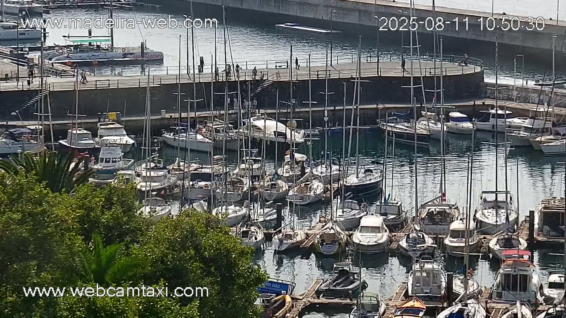 Funchal Coast Live Cam - Funchal, Madeira, Portugal