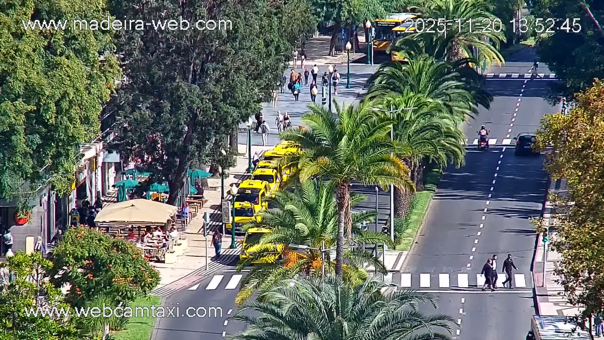 Funchal Coast Live Cam - Funchal, Madeira, Portugal