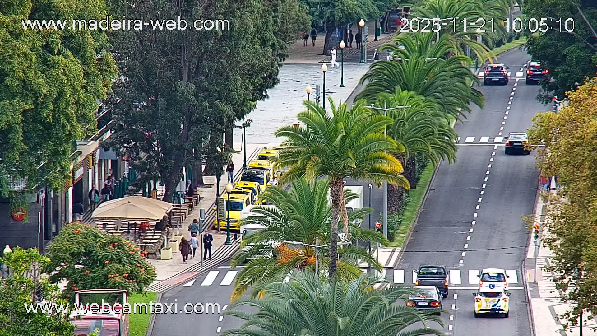 A long, palm-tree-lined urban street is viewed from an elevated perspective on a clear, overcast day, showing pedestrians walking past shops and outdoor cafes, a line of yellow taxis, and several cars driving on the road, with a body of water visible in the distance to the left.