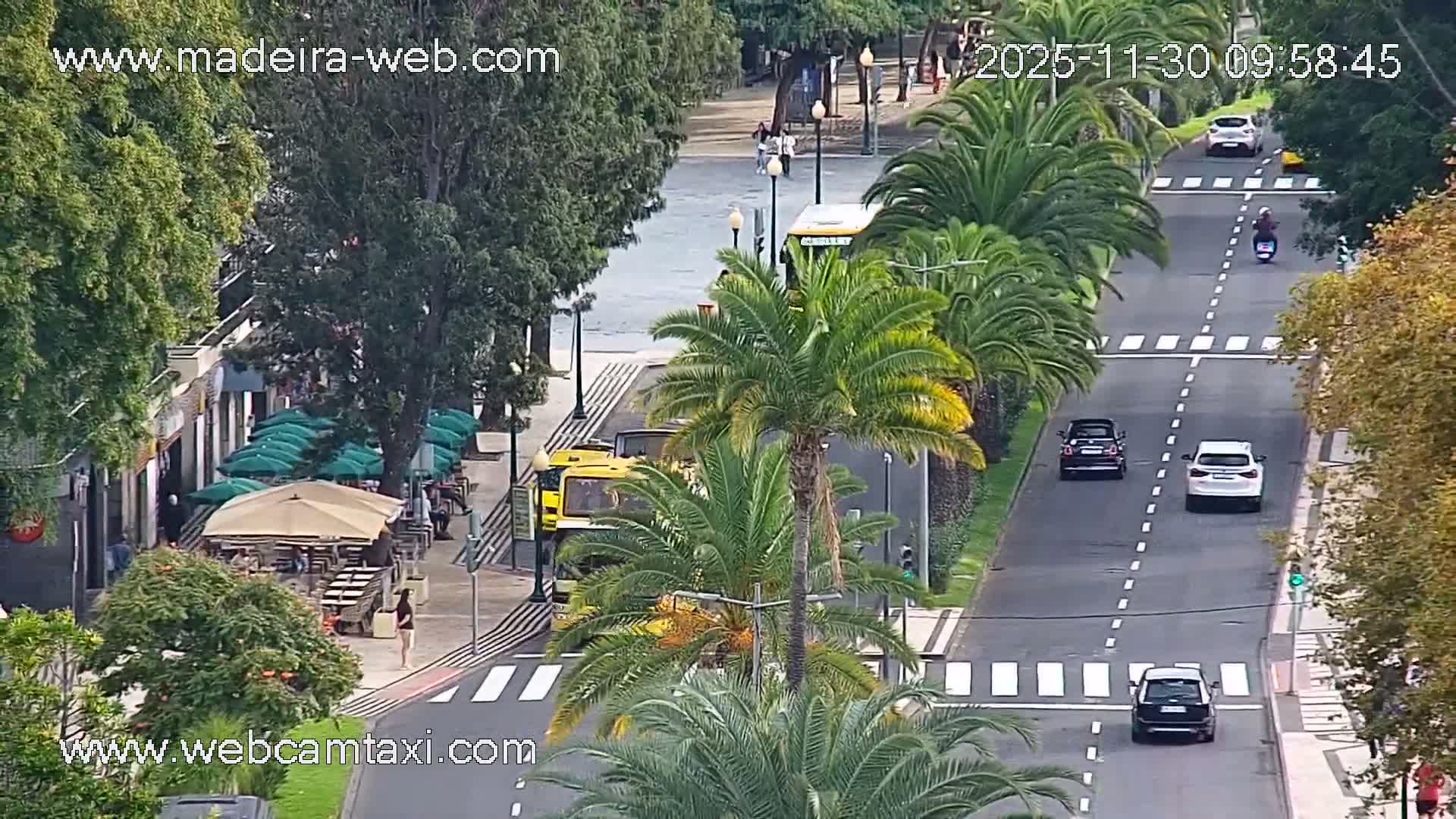 Under clear skies, a lively street scene unfolds with vehicles, including cars and a scooter, traveling on a multi-lane road bordered by palm trees, while pedestrians enjoy outdoor cafes on the left, with a body of water visible in the background.