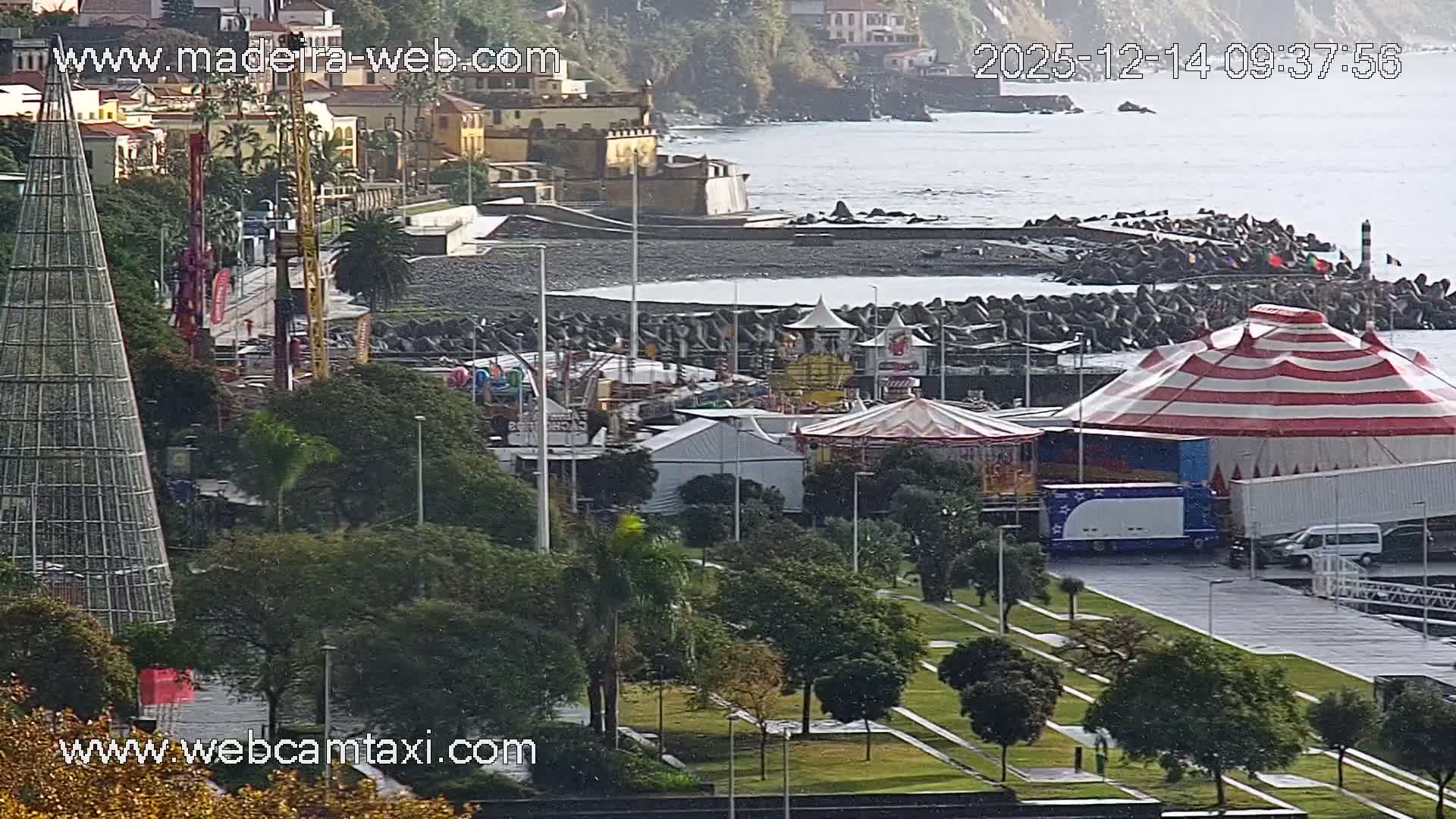 Under clear skies, a lively street scene unfolds with vehicles, including cars and a scooter, traveling on a multi-lane road bordered by palm trees, while pedestrians enjoy outdoor cafes on the left, with a body of water visible in the background.