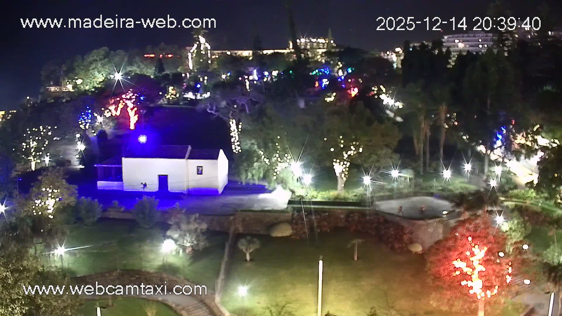 Under clear skies, a lively street scene unfolds with vehicles, including cars and a scooter, traveling on a multi-lane road bordered by palm trees, while pedestrians enjoy outdoor cafes on the left, with a body of water visible in the background.