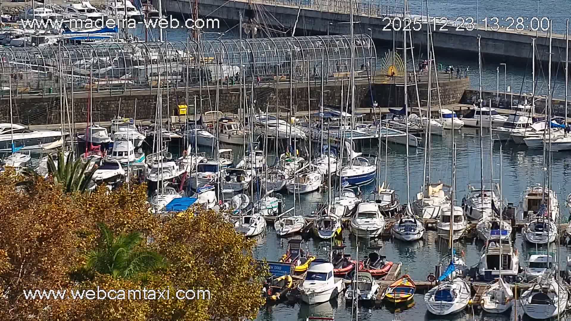 Funchal Coast Live Cam - Funchal, Madeira, Portugal