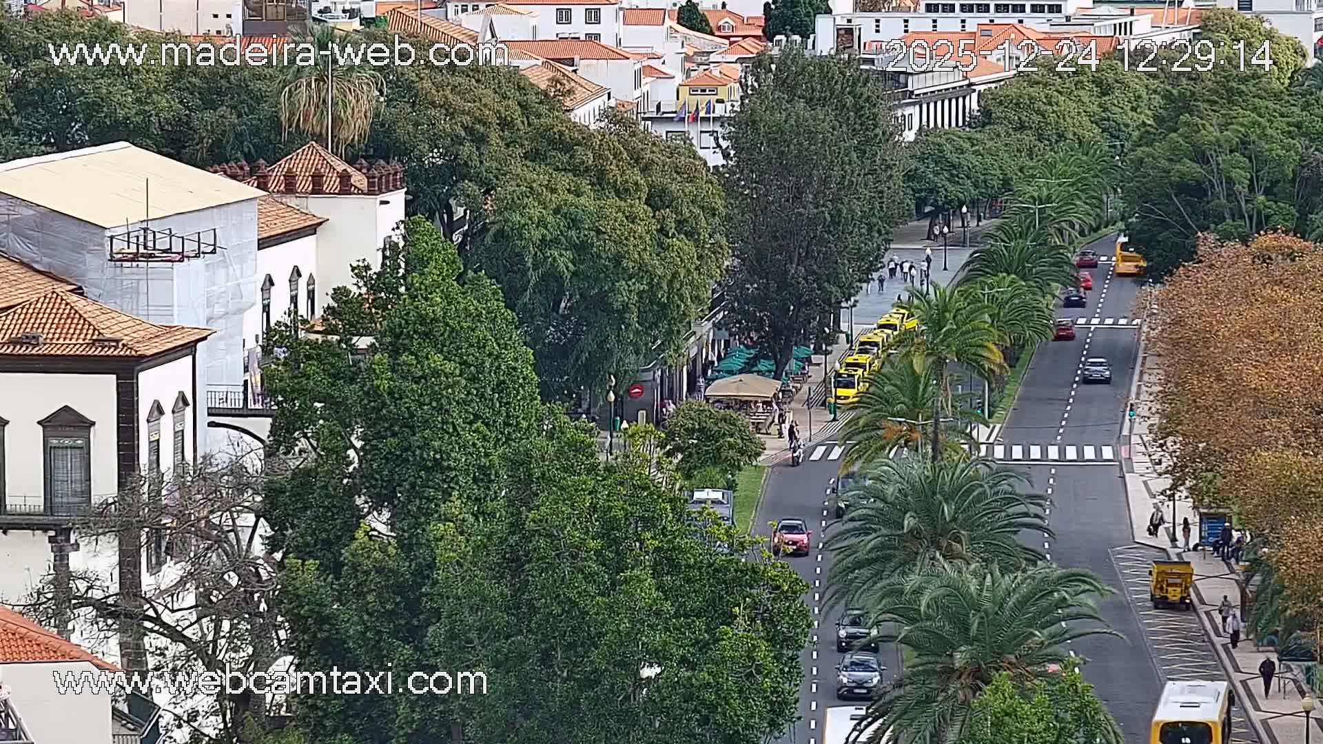 Funchal Coast Live Cam - Funchal, Madeira, Portugal