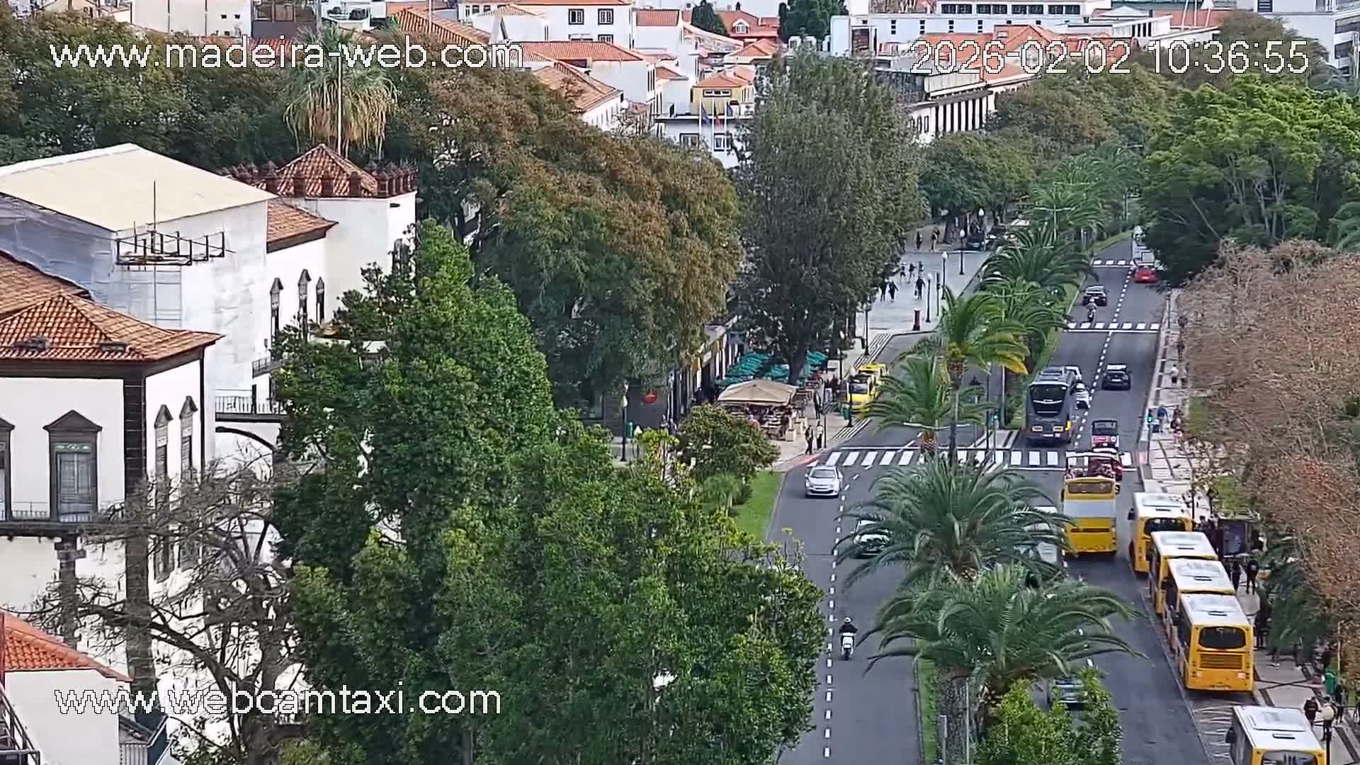 Funchal Coast Live Cam - Funchal, Madeira, Portugal