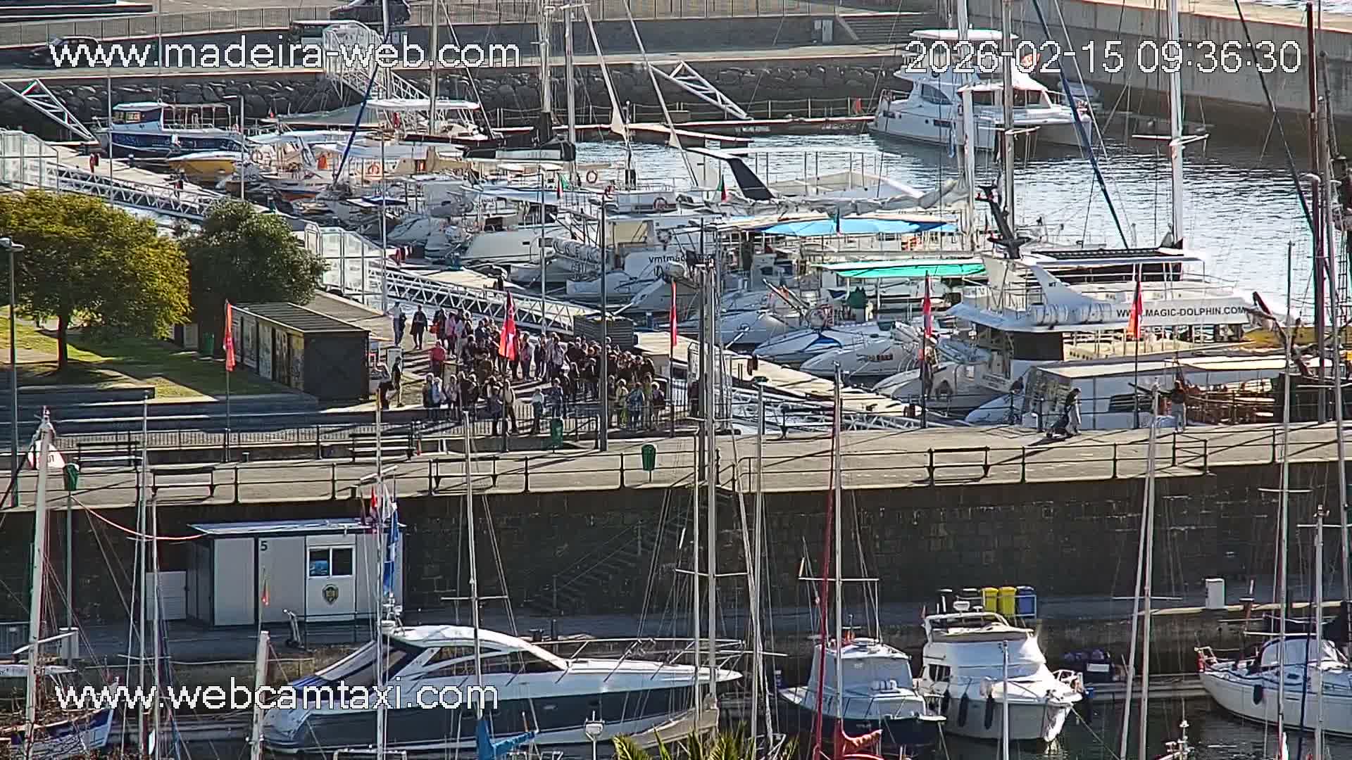 Funchal Coast Live Cam - Funchal, Madeira, Portugal
