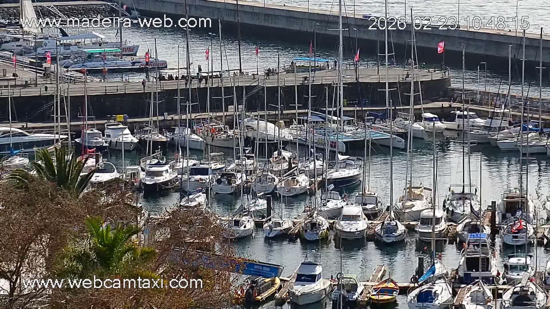 Funchal Coast Live Cam - Funchal, Madeira, Portugal