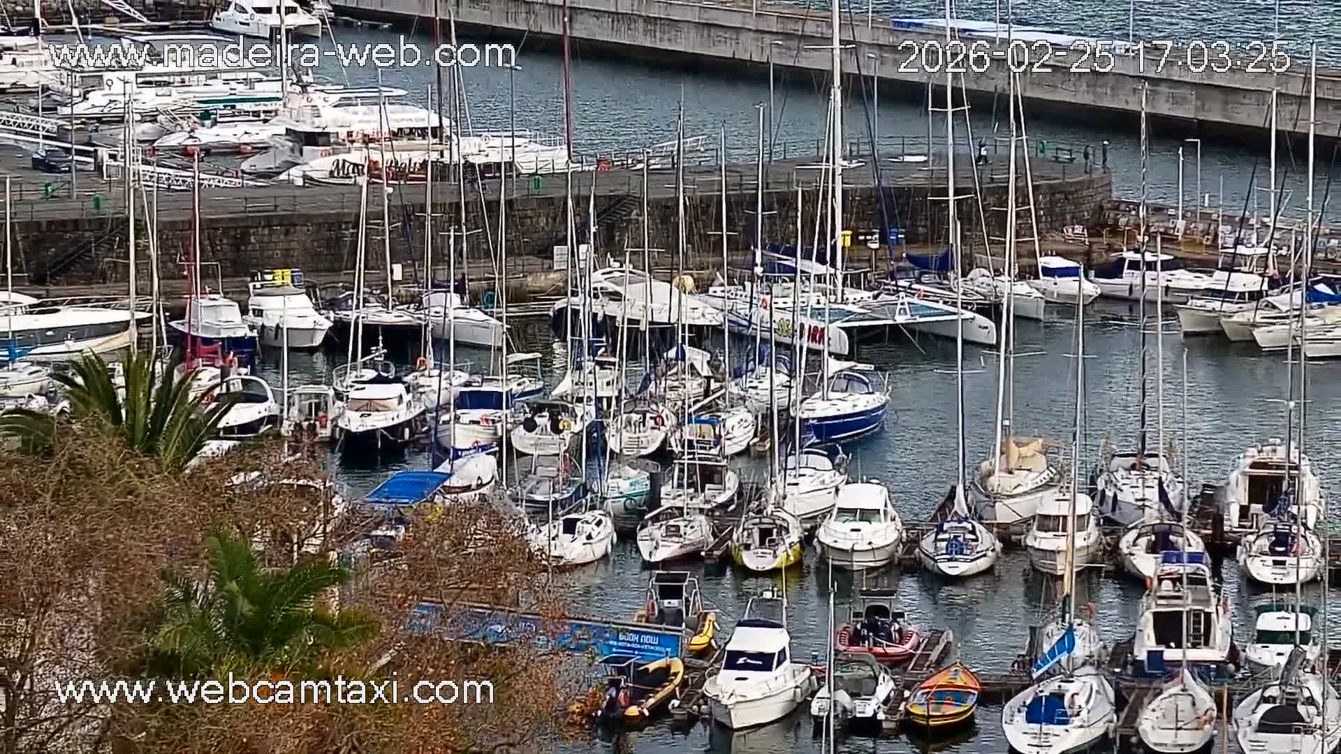 Funchal Coast Live Cam - Funchal, Madeira, Portugal