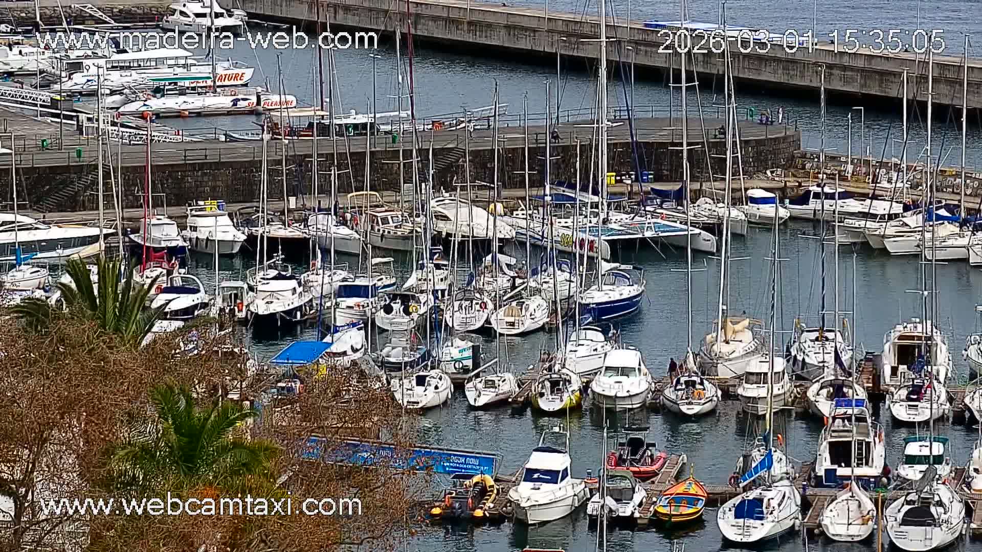 Funchal Coast Live Cam - Funchal, Madeira, Portugal