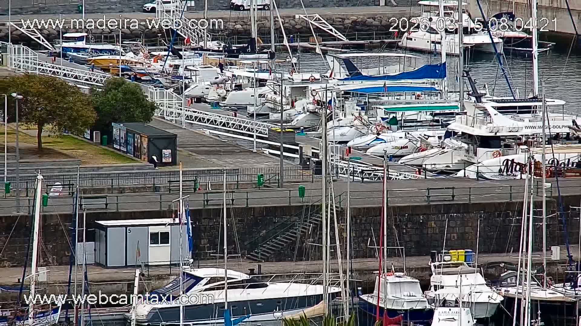 Funchal Coast Live Cam - Funchal, Madeira, Portugal