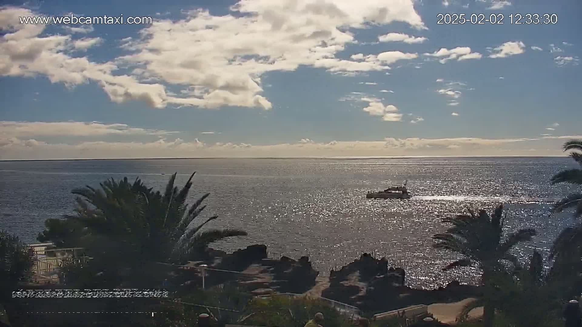 A partly cloudy day shows a calm ocean with a small boat and palm trees in the foreground.