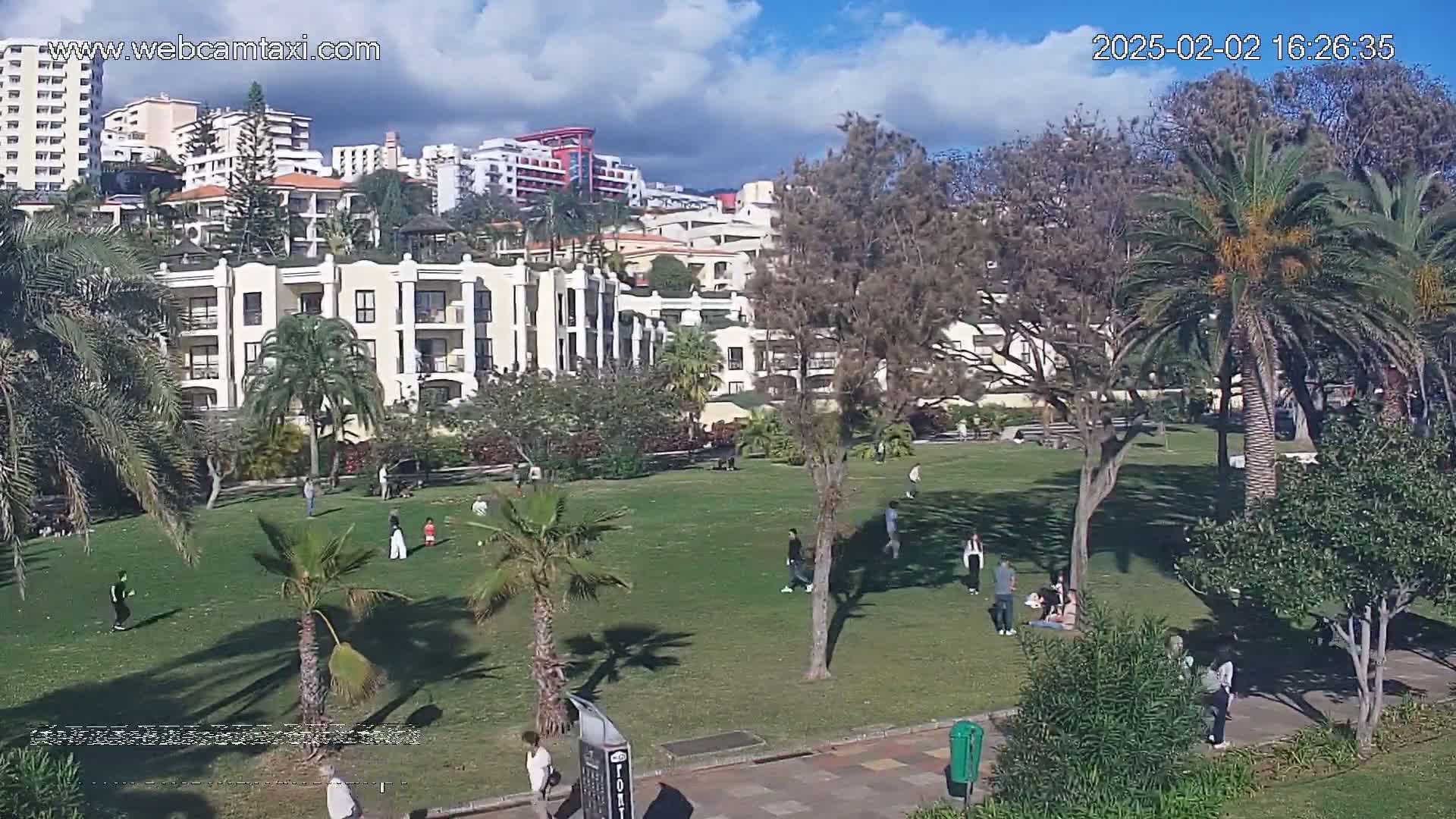 A grassy park with scattered people, palm trees, and apartment buildings in the background under a mostly sunny sky.