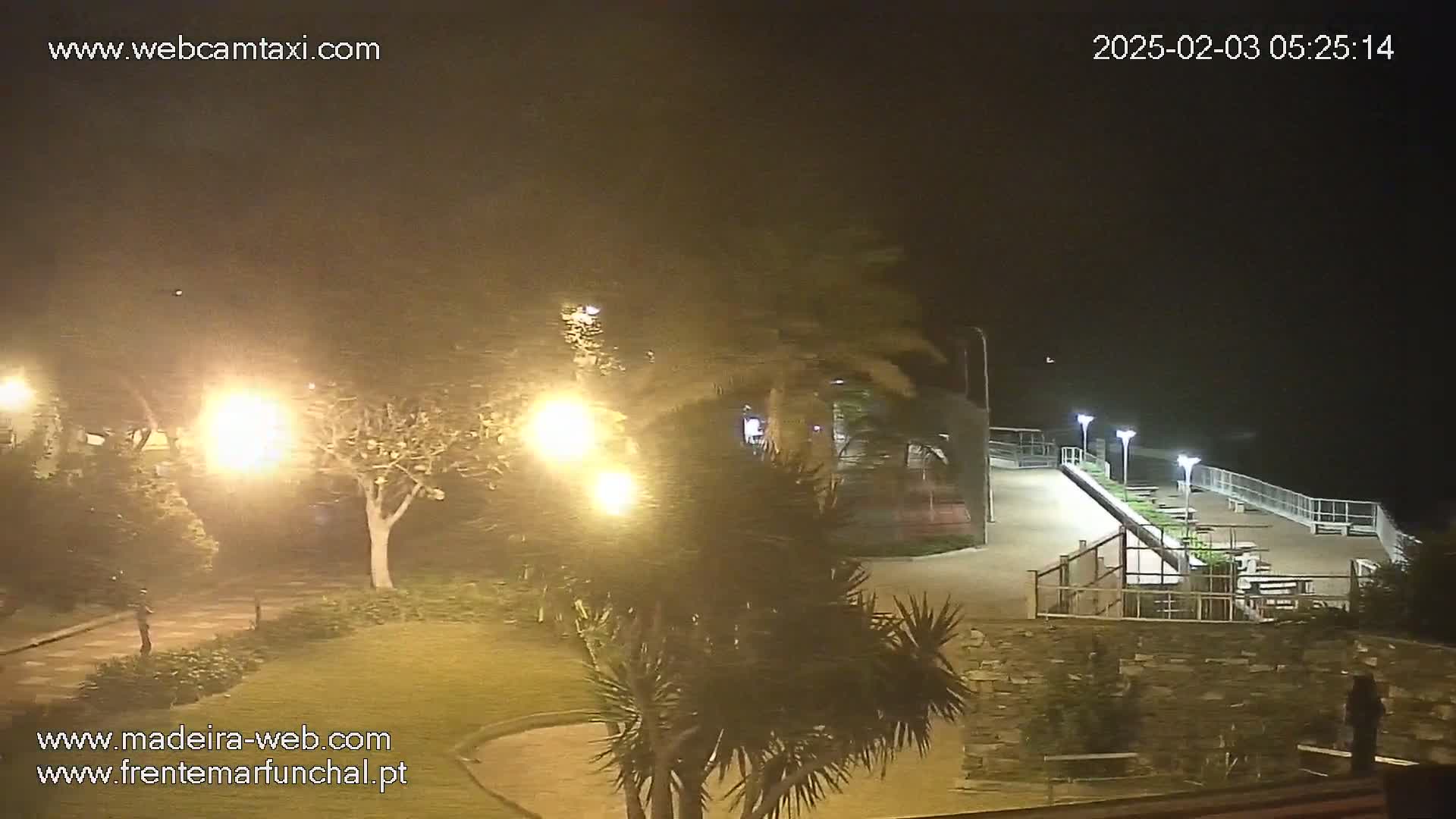 A nighttime view of a park-like area next to a paved waterfront walkway illuminated by streetlights under hazy conditions.