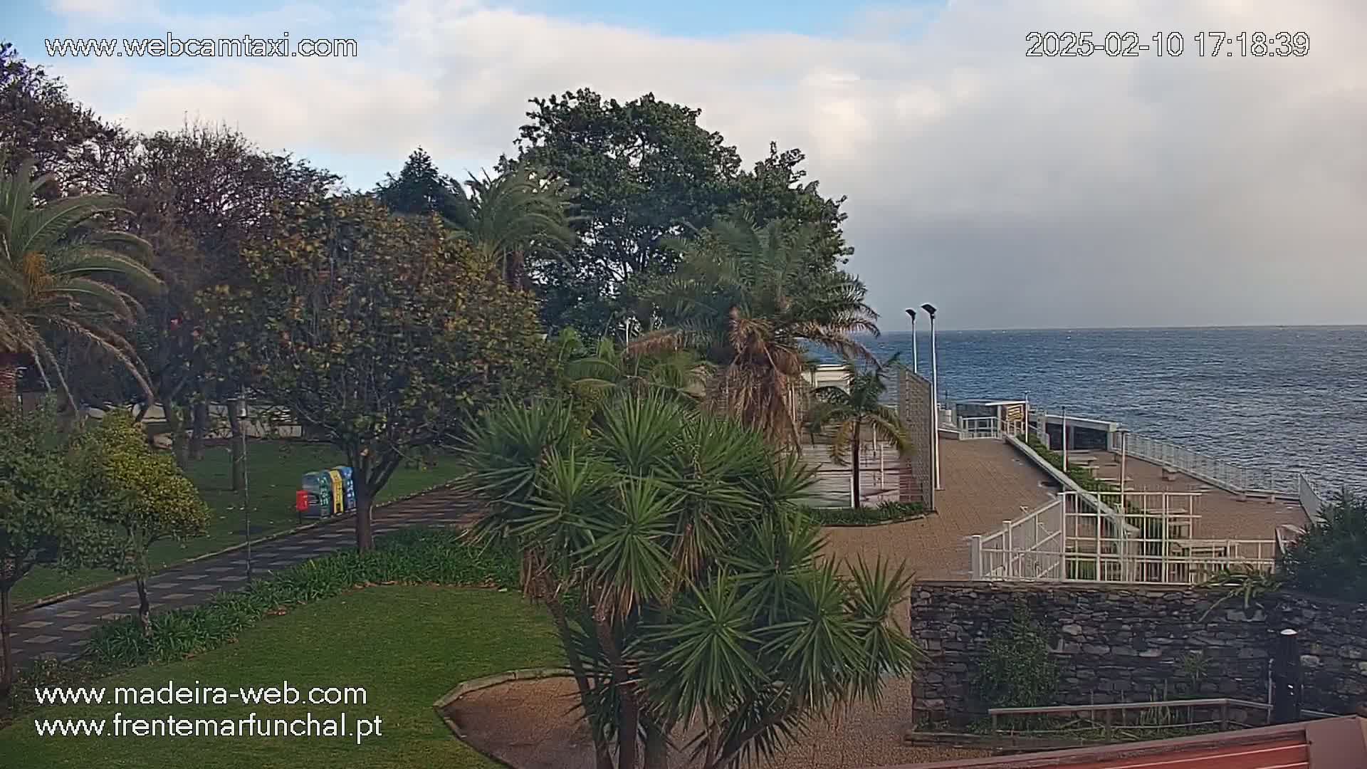 A seaside park with palm trees and other tropical plants overlooks a calm ocean under a partly cloudy sky.