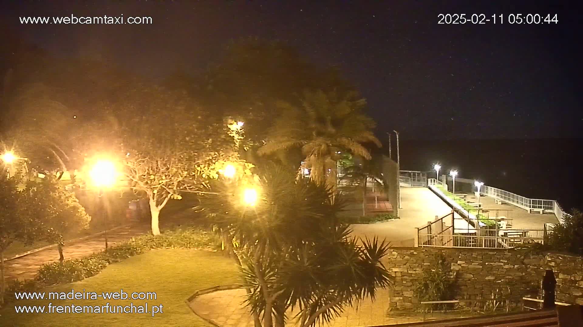 A nighttime view of a paved area with palm trees and other vegetation, illuminated by streetlights, overlooking a dark body of water under a starry sky.