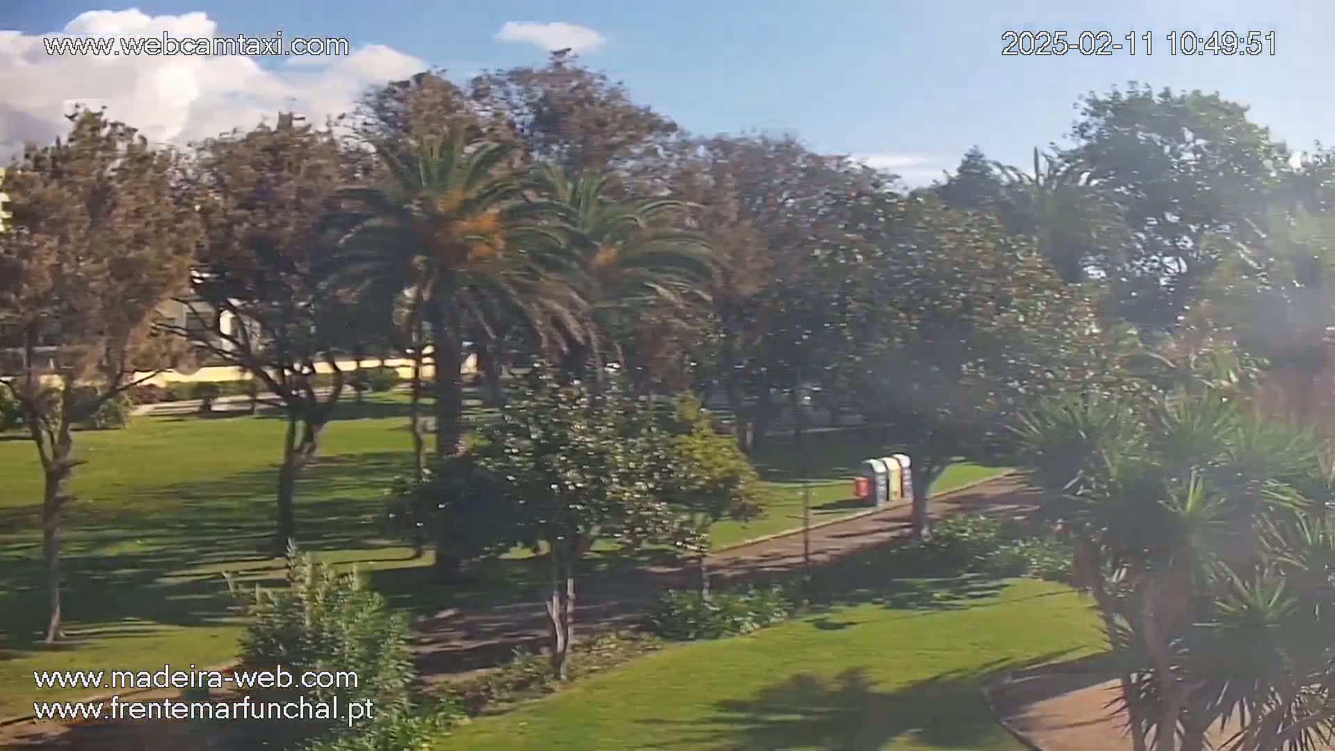 A sunny day reveals a park with lush green grass, palm trees, and other various trees, a paved walkway, and several colorful trash receptacles.